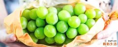 晴王葡萄为什么那么贵 晴王是葡萄还是提子