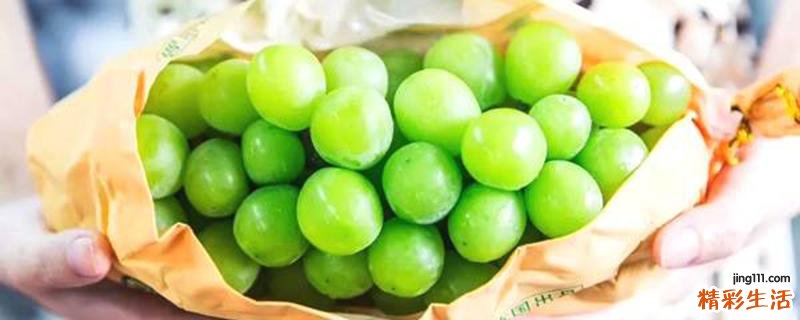 晴王葡萄为什么那么贵 晴王是葡萄还是提子