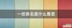一世英名是什么意思