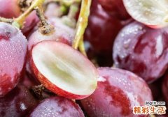 吃提子有助于减肥吗 减肥吃提子会长胖吗