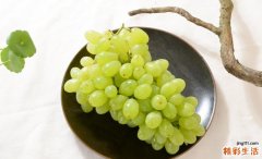 吃青提注意什么 青提有什么营养成分
