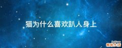 猫为什么喜欢趴人身上