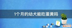 1个月的幼犬能吃蛋黄吗