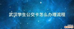 武汉学生公交卡怎么办理流程