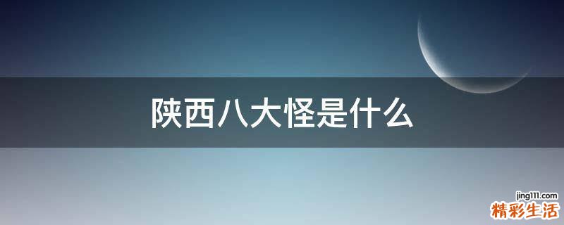 陕西八大怪是什么