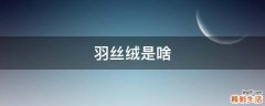 羽丝绒是啥