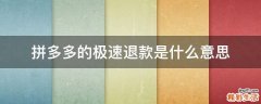 拼多多的极速退款是什么意思