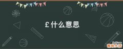 ￡什么意思