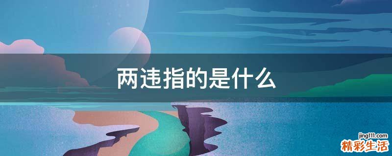 两违指的是什么