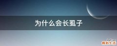 为什么会长虱子