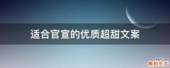 适合官宣的优质超甜文案