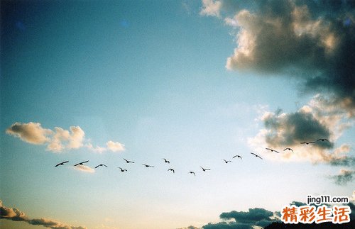 2 提高孩子自我控制能力