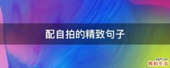 配自拍的精致句子