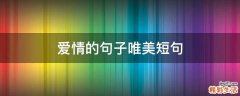 10条爱情的句子唯美短句
