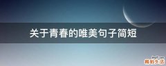 关于青春的唯美句子简短
