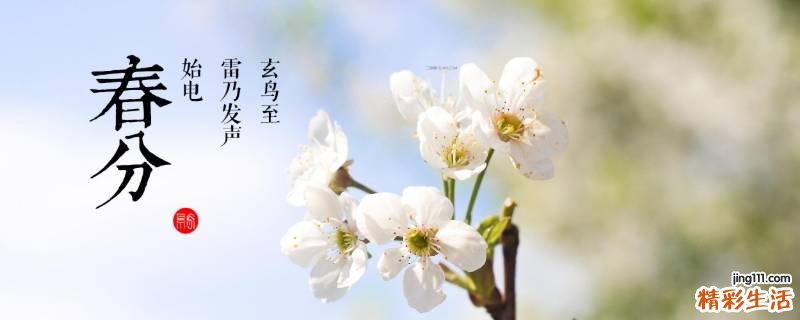 描写春分的唯美句子