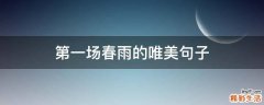 第一场春雨的唯美句子