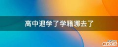 高中退学了学籍哪去了