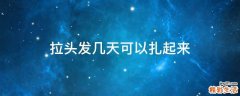 拉头发几天可以扎起来