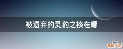 被遗弃的灵豹之核在哪