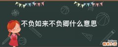 不负如来不负卿什么意思