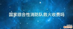 国家综合性消防队救火收费吗