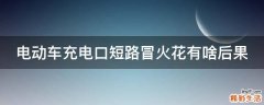 电动车充电口短路冒火花有啥后果