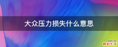 大众压力损失什么意思