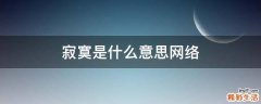 寂寞是什么意思网络