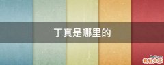 丁真是哪里的