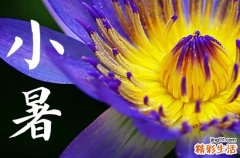 2023年小暑是几月几号 具体是几点几分几秒钟交节