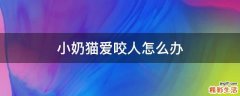小奶猫爱咬人怎么办