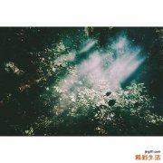 4 假睫毛傻瓜式教学一学就会