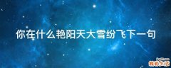 你在什么艳阳天大雪纷飞下一句