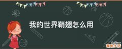 我的世界鞘翅怎么用