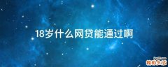 18岁什么网贷能通过啊