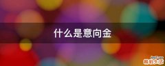 什么是意向金