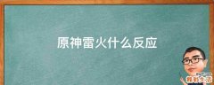 原神雷火什么反应