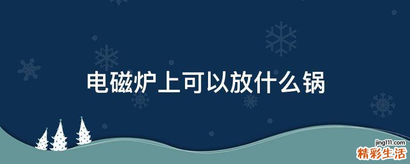 电磁炉上可以放什么锅