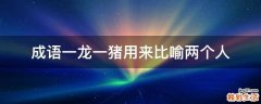 成语一龙一猪用来比喻两个人