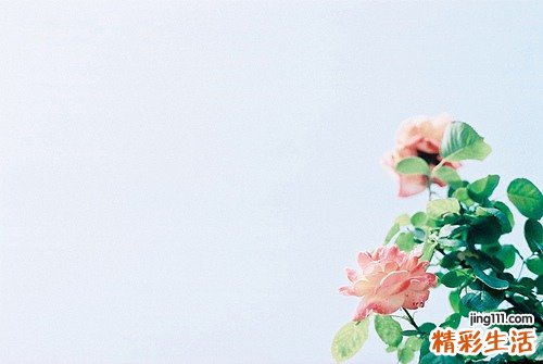 3 简单四步教你画出魅力大眼妆