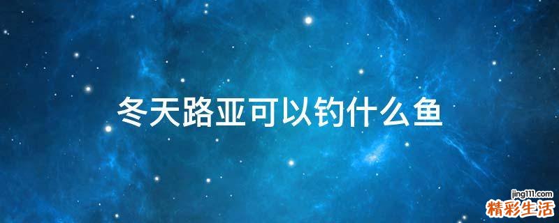 冬天路亚可以钓什么鱼