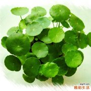 2 简单四步教你画出魅力大眼妆