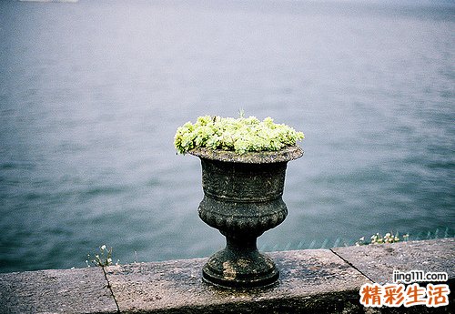 脊髓小脑变性症常用药物