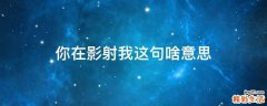 你在影射我这句啥意思
