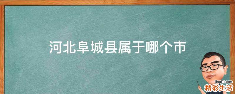 河北阜城县属于哪个市