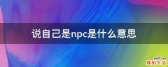 说自己是npc是什么意思