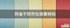 同省不同市社保要转吗