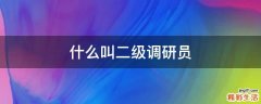 什么叫二级调研员