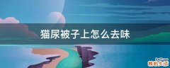 猫尿被子上怎么去味